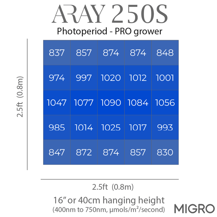MIGRO ARAY 250S - MIGROLIGHT