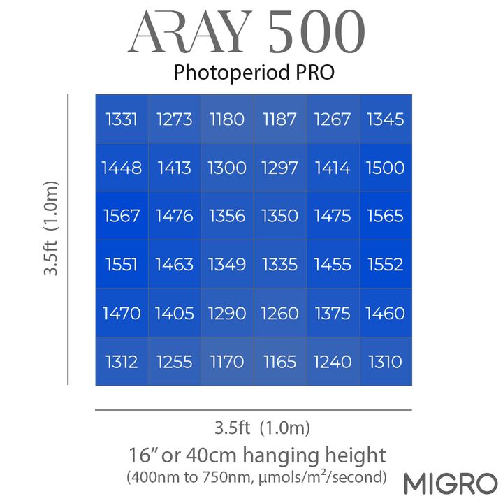 MIGRO ARAY 500 - MIGROLIGHT