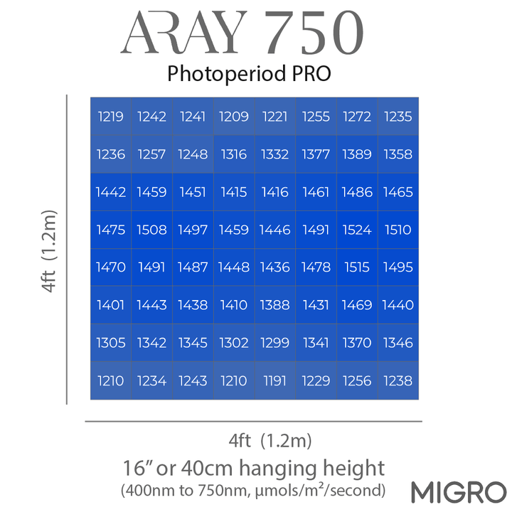 MIGRO ARAY 750 - MIGROLIGHT