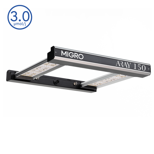 MIGRO ARAY 150 - MIGROLIGHT