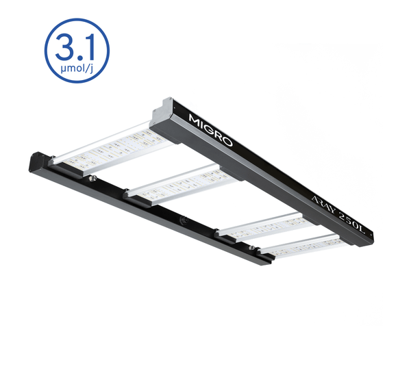 MIGRO ARAY 250L - MIGROLIGHT