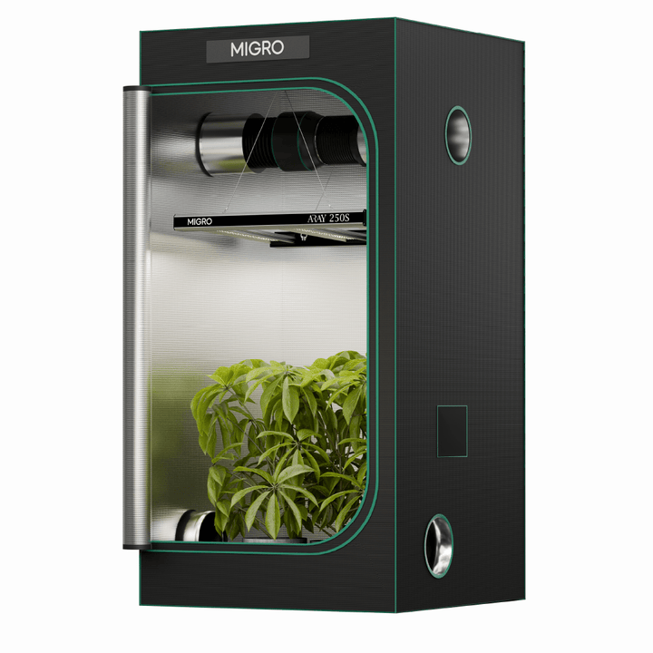 The MIGRO ARAY 250S is the optimum solution for a 3ft x 3t or 90cm x 90cm grow tent for photoperiod flowering cannabis plants or a 4ft x4ft or 120cm x 120 cm grow space for Autoflowering cannabis plant