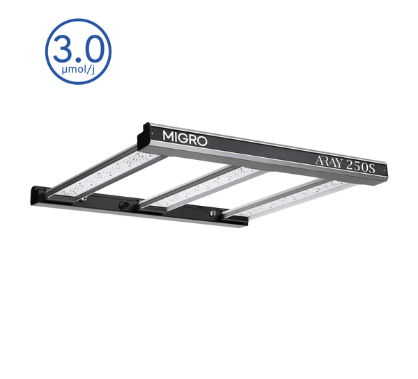 MIGRO ARAY 250S - MIGROLIGHT
