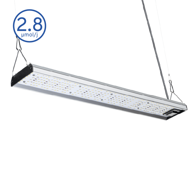 MIGRO ARAY 75 Seedling - MIGROLIGHT