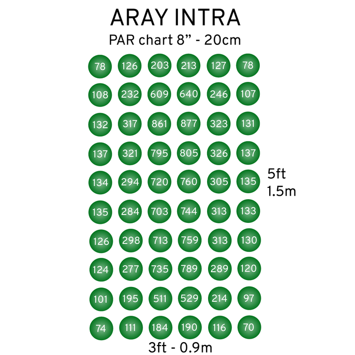 MIGRO ARAY Intra 160 - MIGROLIGHT