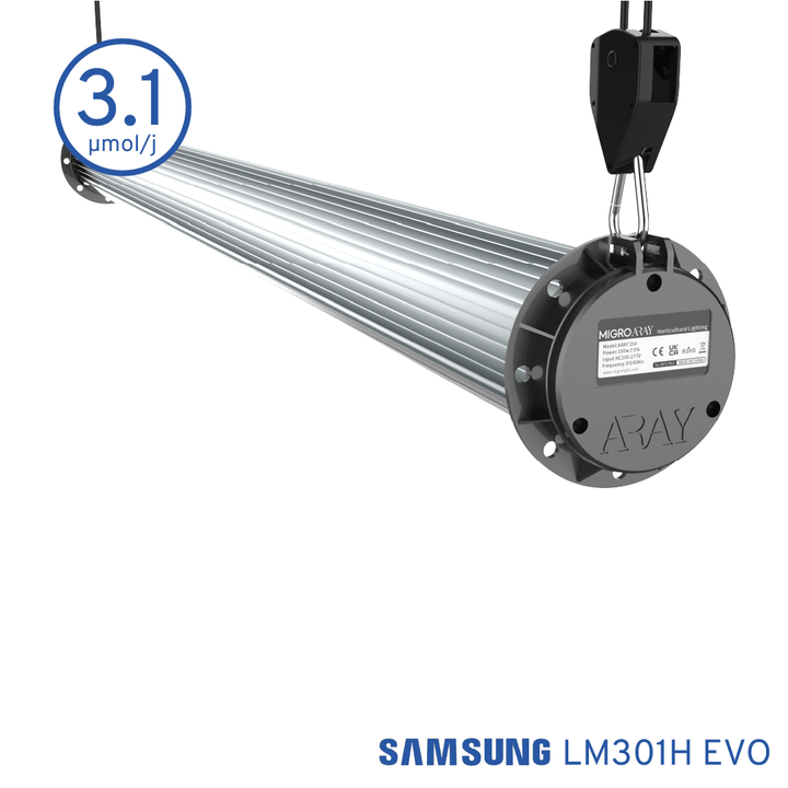 The MIGRO ARAY INTRA is a high efficiency grow light with 3.1 µmol/Joule PPE delivering full spectrum light, high PAR intensity with unparalleled uniformity