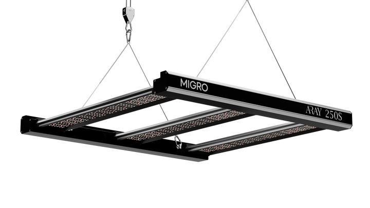 ARAY 250S LED grow light video