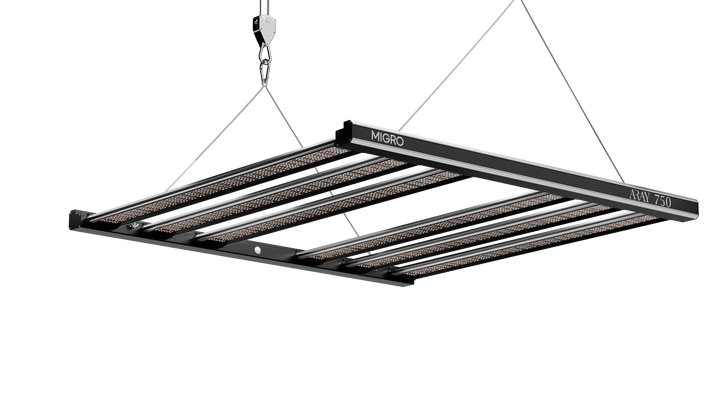 product video of the ARAY 750 led grow light