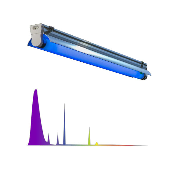 MIGRO UVB 310 fixture and fluorescent tube - MIGROLIGHT