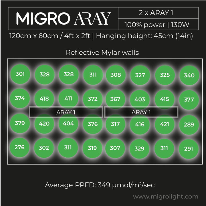 MIGRO ARAY 1 | seedling and clone LED grow light - MIGROLIGHT